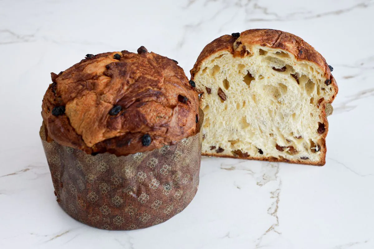 Panettone chocolat