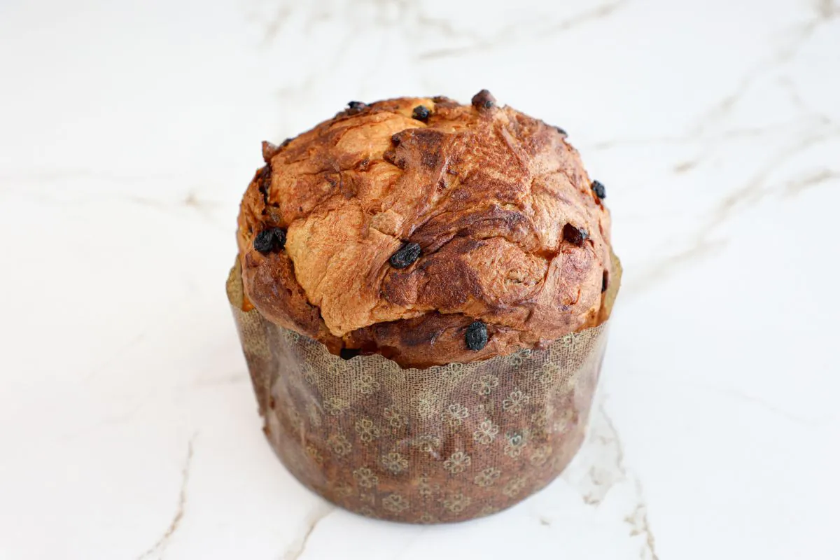 Panettone chocolat