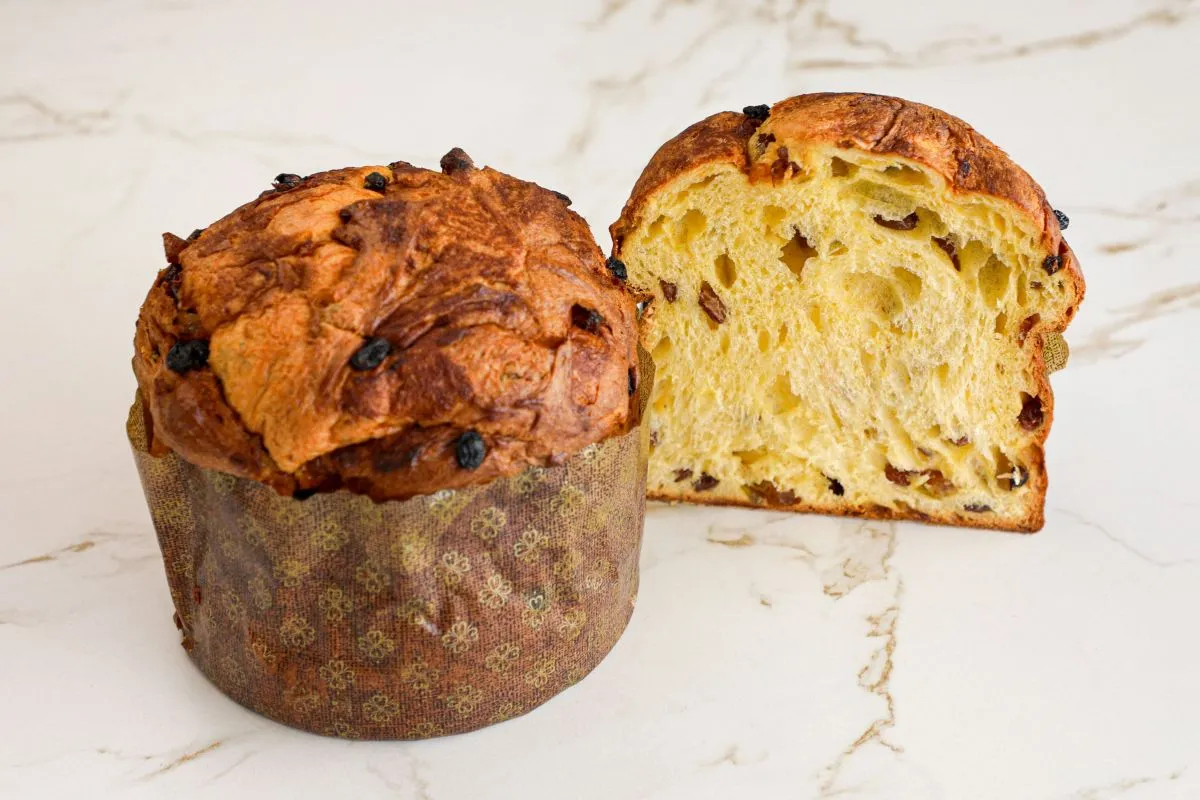 Panettone