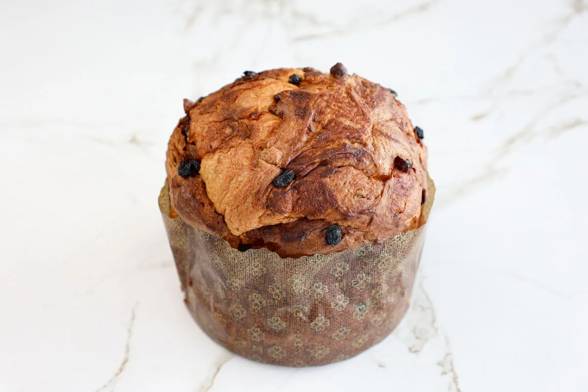 Panettone