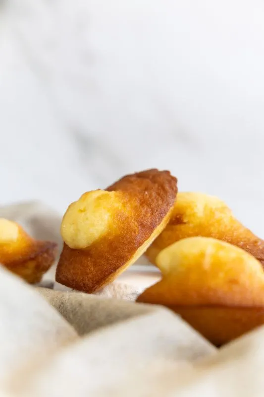 Madeleines