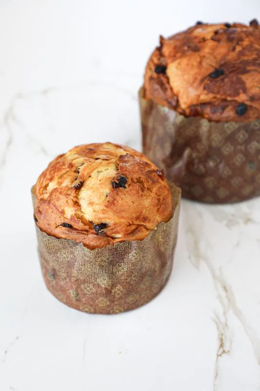 Panettone classique